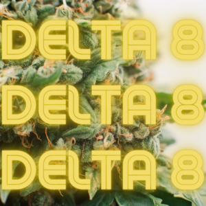 Read more about the article Everything You Want To Know About Delta 8